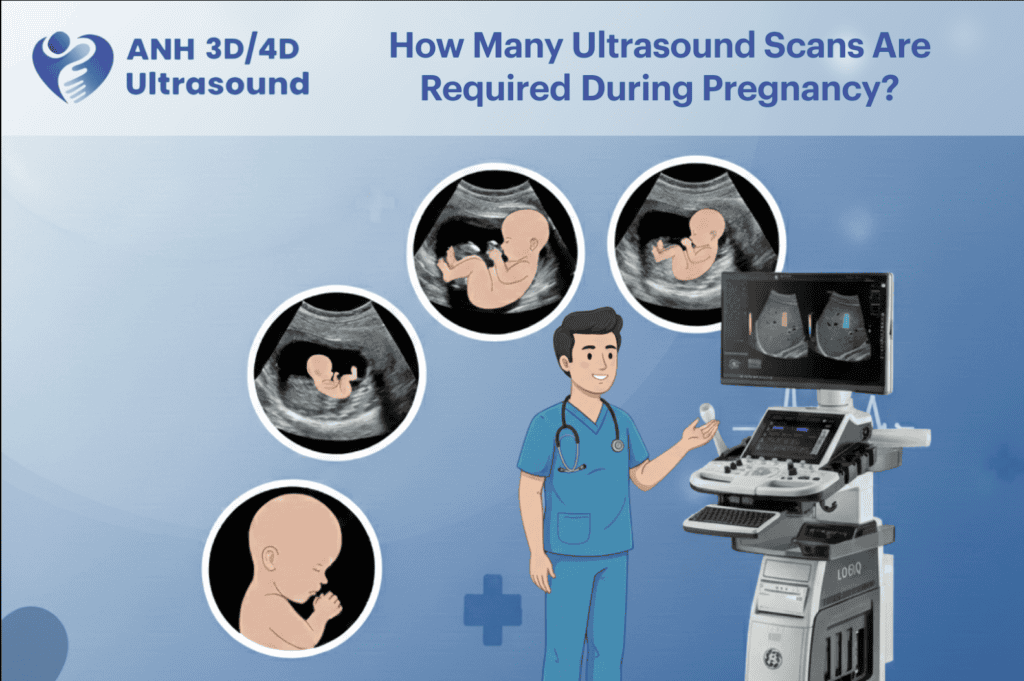 How Many Ultrasound Scans Are Required During Pregnancy?